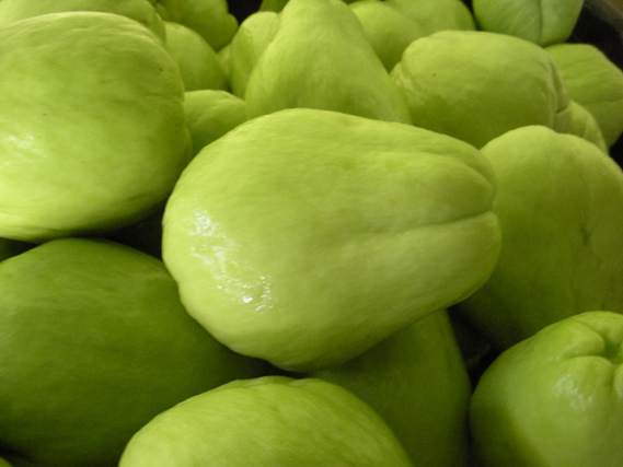 Denominación de origen del chayote, Paraíso de Cartago